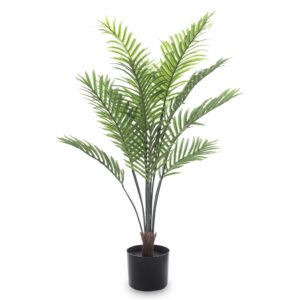 Dekoratívna rastlina