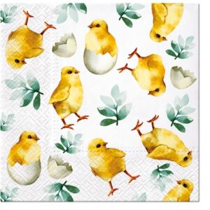 Obrúsky s kuracím mäsom vo vajciach